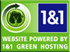 1and1.com Green Logo