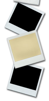 Web Design Thumbnails - Right